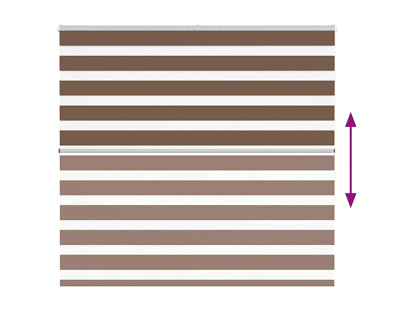 Zebra rolgordijn 165x150 cm stofbreedte 160,9cm polyester bruin