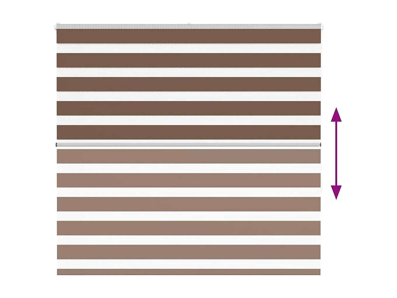 Store zèbre marron 155x150cm largeur du tissu 150,9cm polyester