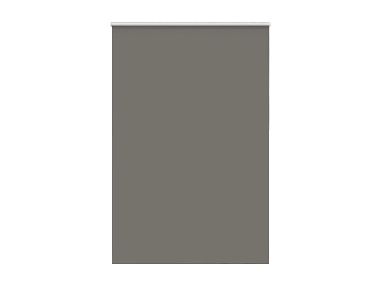 Estor Enrollable Opaco gris 165x230 cm Tela Ancho 161,6 cm