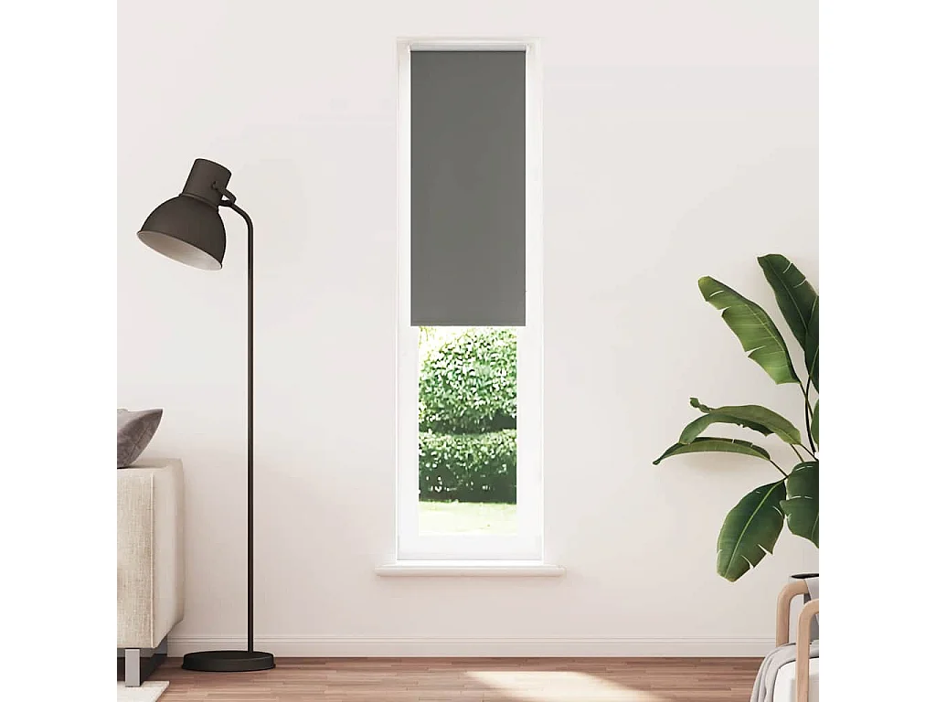 Estor Enrollable Opaco gris 55x210 cm Tela Ancho 50,7 cm