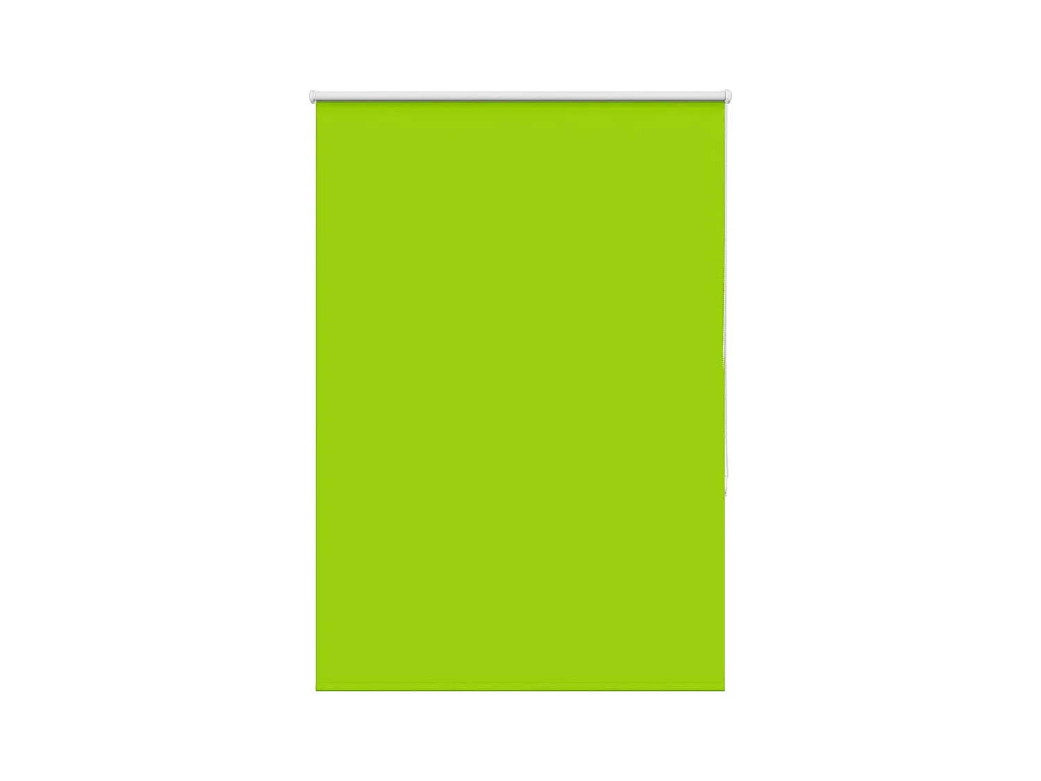 Estor Enrollable Opaco hojas verde 110x175cm Tela Ancho 105,7cm