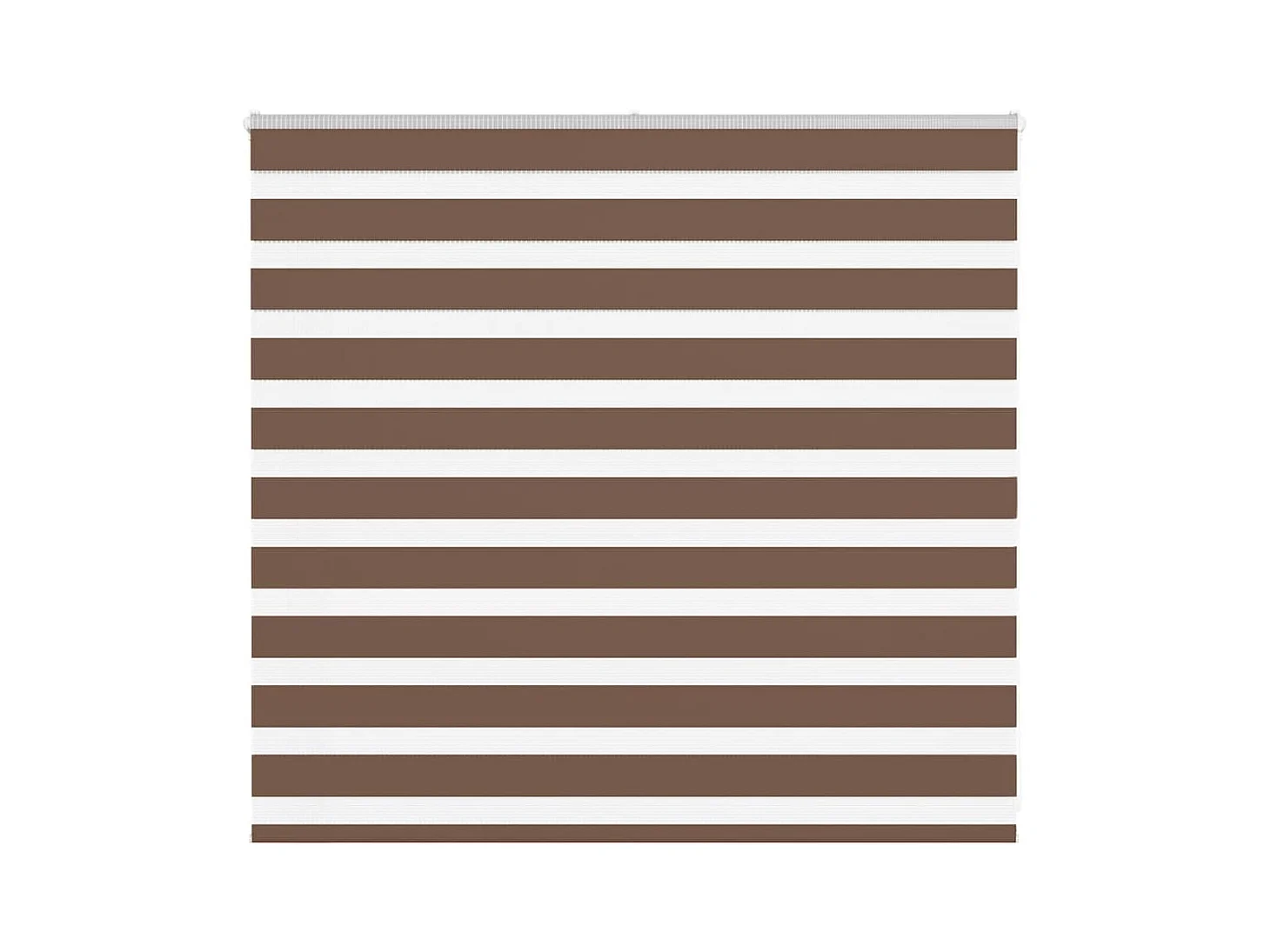 Zebra rolgordijn 165x100 cm stofbreedte 160,9cm polyester bruin