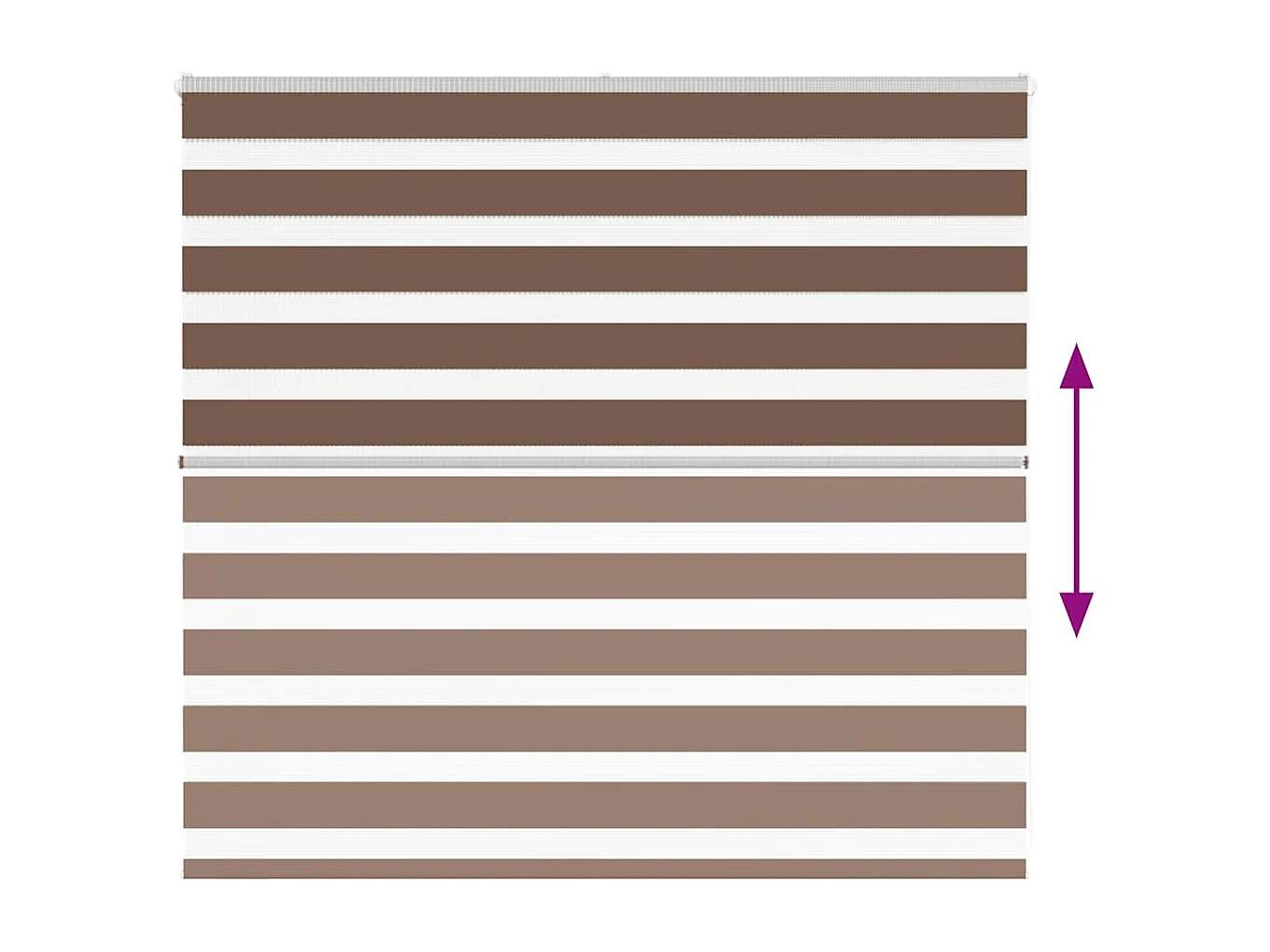 Store zèbre marron 165x100cm largeur du tissu 160,9cm polyester