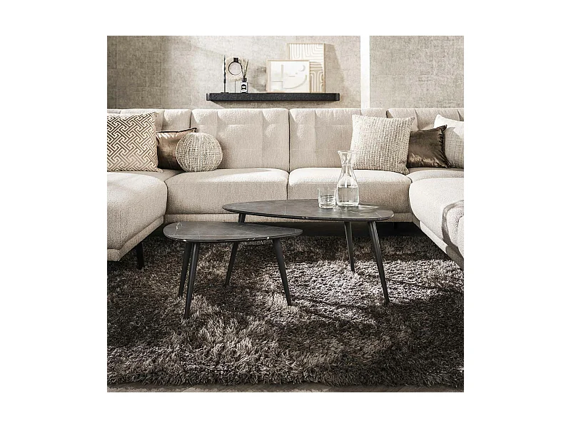 Table de salon organique avec plateau forme poire (lot de 2) RALF