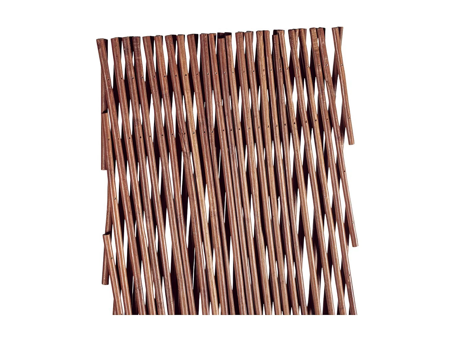 Celosia extensible trellibambu 1x1,5 m nortene 1X3 M