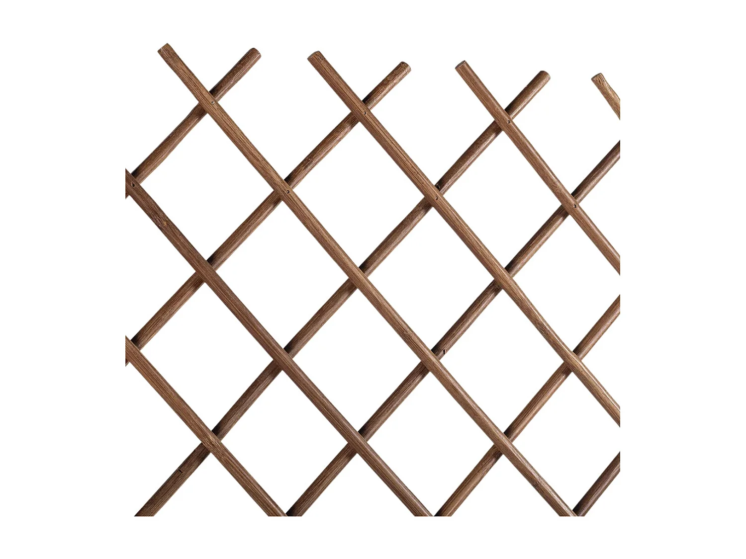 CELOSIA EXTENSIBLE TRELLIBAMBU 1X2 M NORTENE 1X2 M