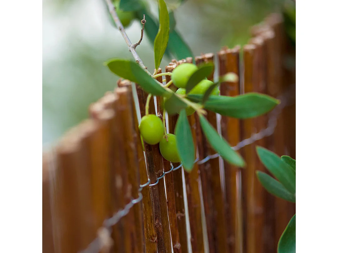 Mimbre natural vimet nortene 1X3 M