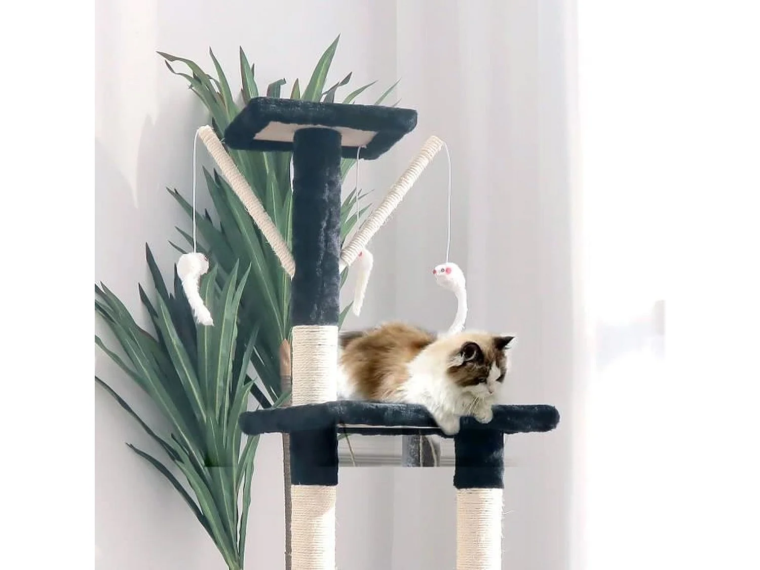 Betty Kratzbaum – 30 x 30 x 110 cm Schwarz