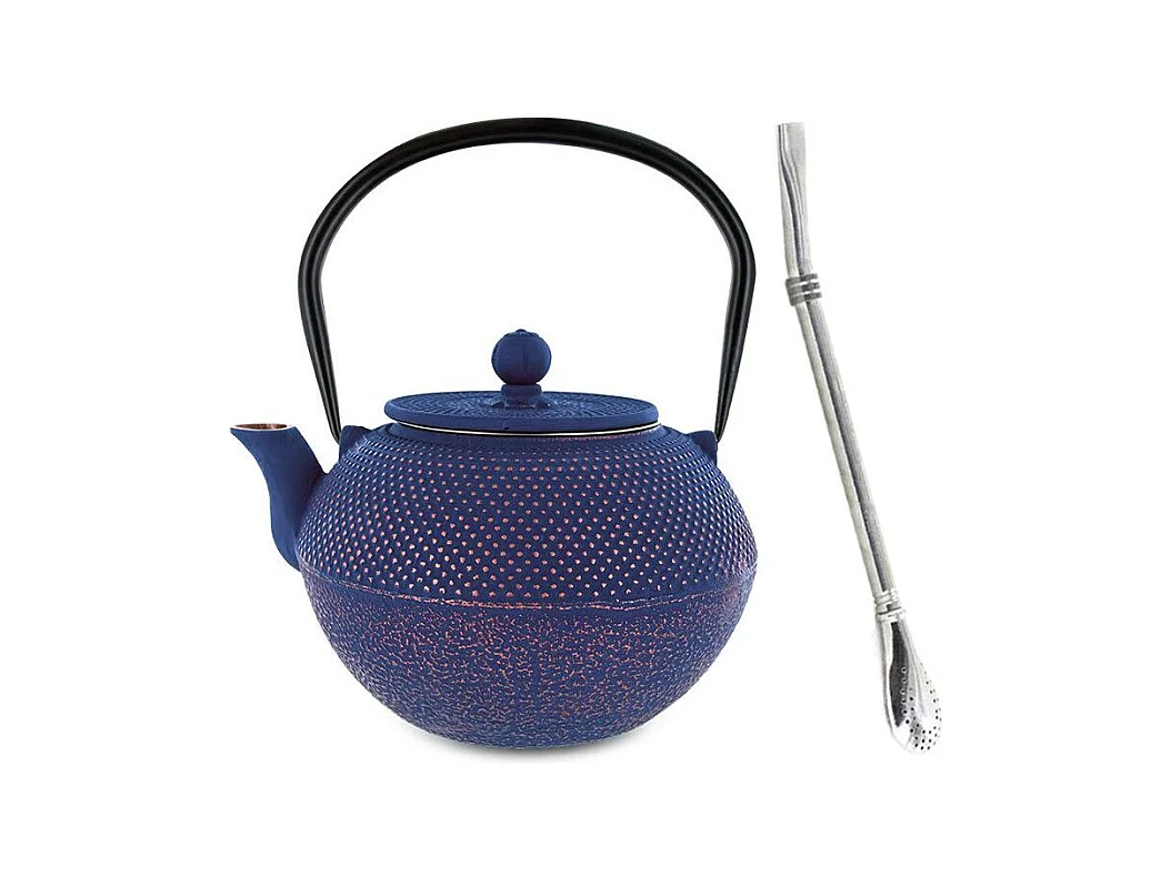 Chinese Song gietijzeren theepot 1,2 L + roestvrijstalen rietje met filter