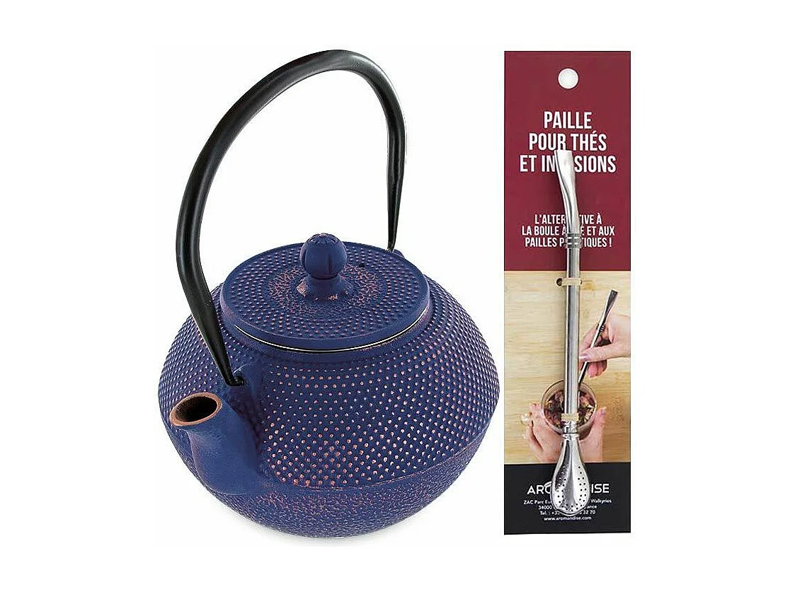 Théière en fonte chinoise Song 1,2 L + paille inox avec filtre