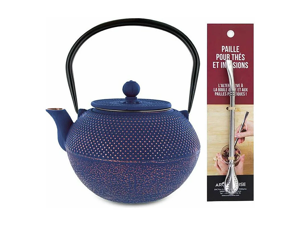 Théière en fonte chinoise Song 1,2 L + paille inox avec filtre
