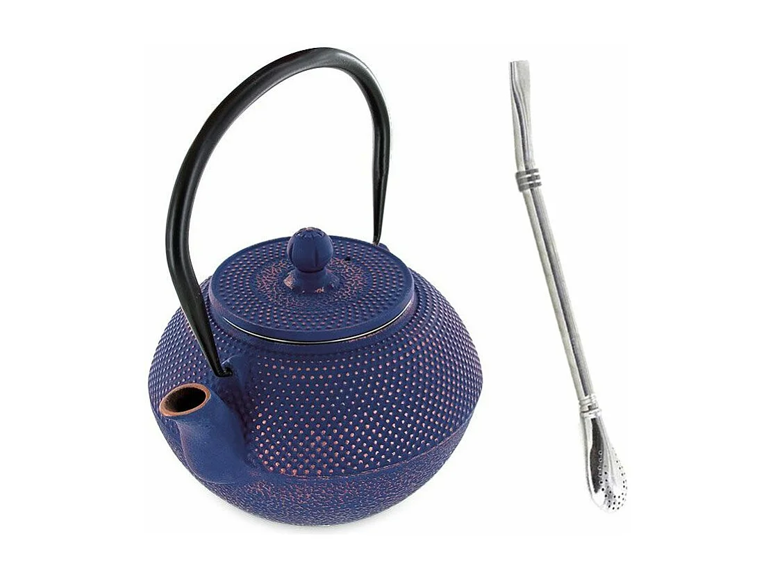 Théière en fonte chinoise Song 1,2 L + paille inox avec filtre