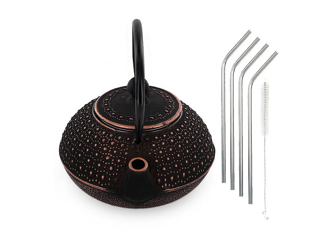Tetera china de hierro fundido Sui 0,8 L + 4 pajitas de acero inoxidable