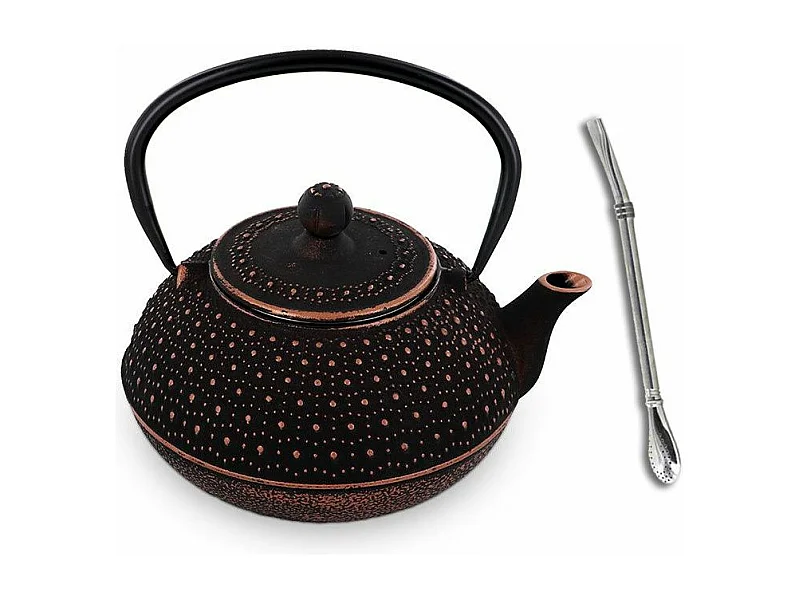 Sui Chinese gietijzeren theepot 0,8 L + roestvrijstalen rietje met filter