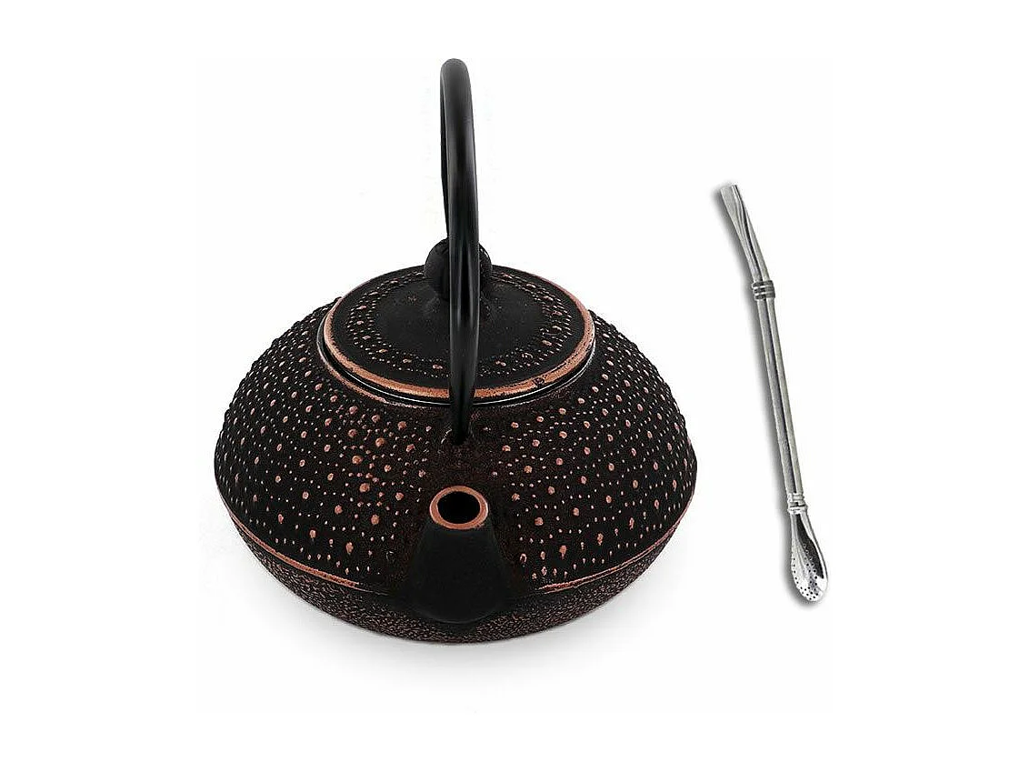 Théière en fonte chinoise Sui 0,8 L + paille inox avec filtre