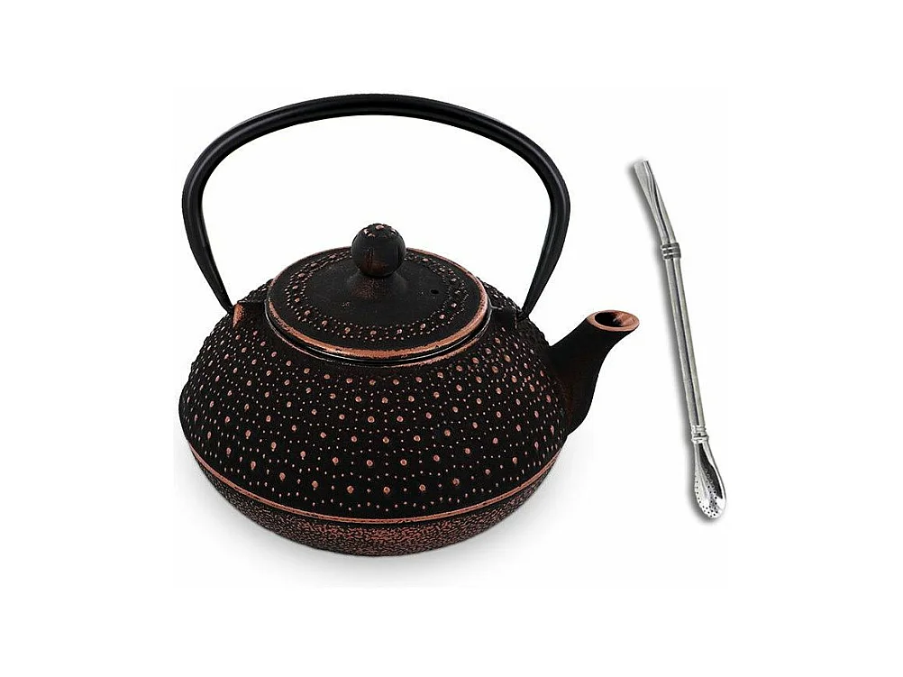 Théière en fonte chinoise Sui 0,8 L + paille inox avec filtre