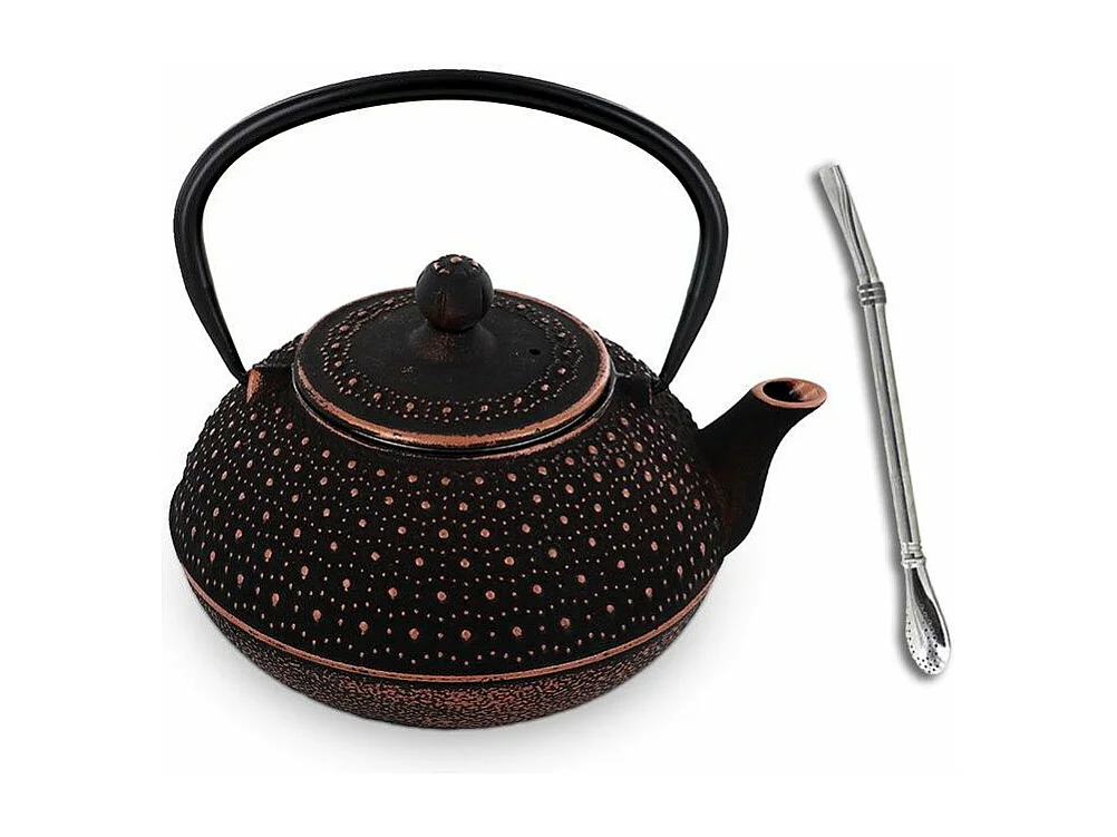 Sui Chinese gietijzeren theepot 0,8 L + roestvrijstalen rietje met filter