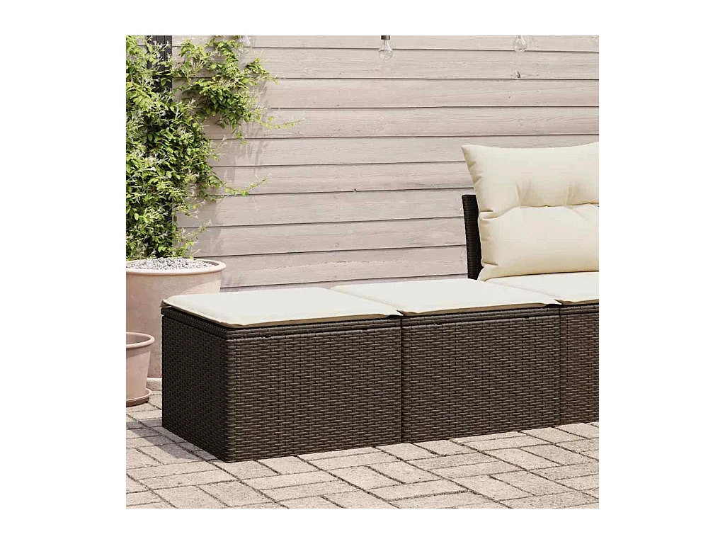 Salon de jardin avec coussins 2pcs marron résine tressée acacia