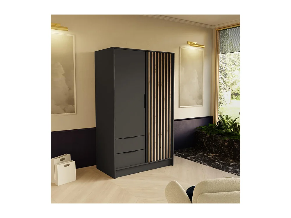 DREHTÜRENSCHRANK Nero 100/51/200 cm mit Lamellen graphit