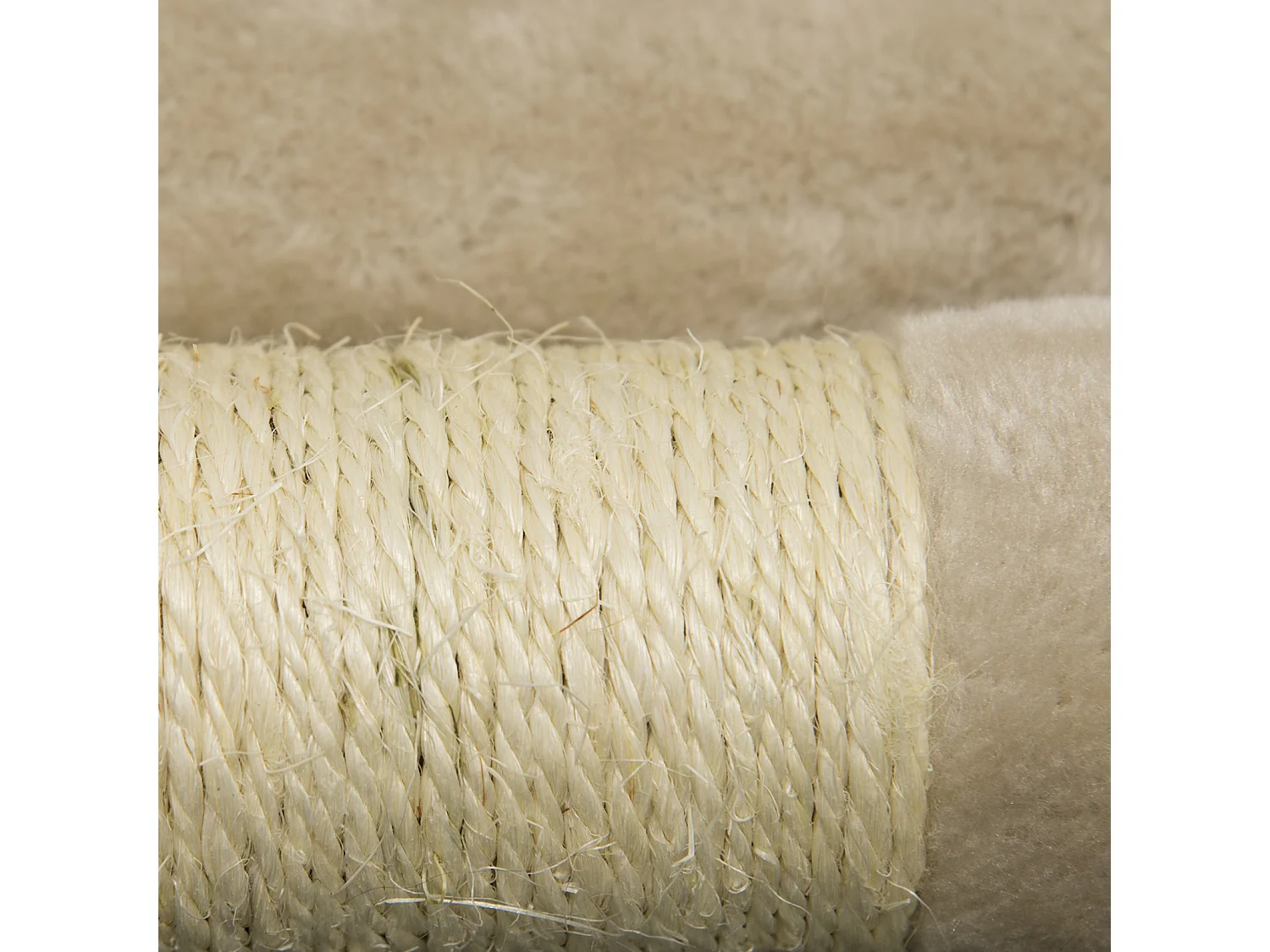 Albero per Gatto con Graffiatoio Cuccia Giocattolo Gatti Parco Giochi Tiragraffi in Sisal Naturale 150 x 50 x 35 cm (Colore Beige Matis 30060)