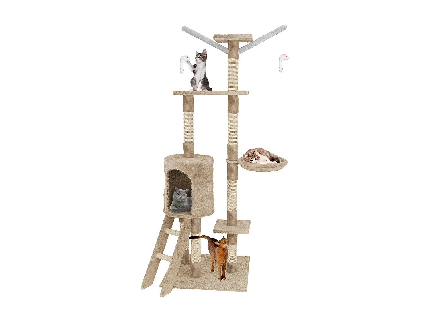 Albero per Gatto con Graffiatoio Cuccia Giocattolo Gatti Parco Giochi Tiragraffi in Sisal Naturale 150 x 50 x 35 cm (Colore Beige Matis 30060)