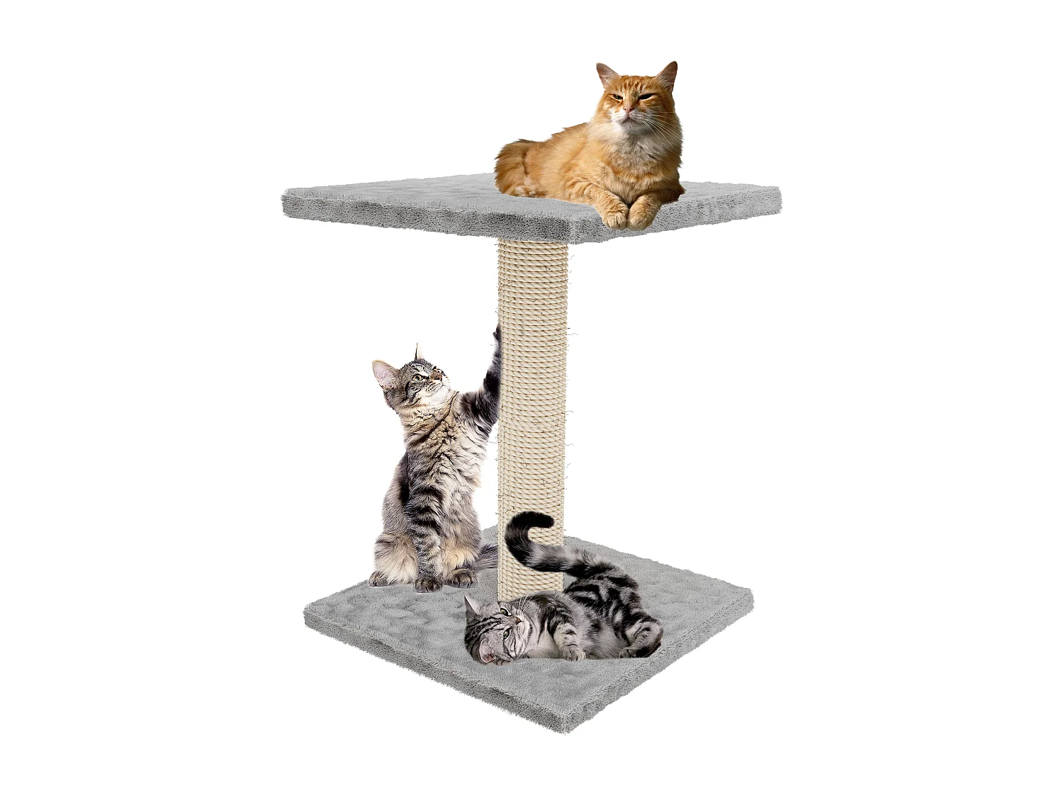 Albero per Gatto con Graffiatoio Cuccia Giocattolo Gatti Parco Giochi Tiragraffi in Sisal Naturale 69 x 40 x 40 cm