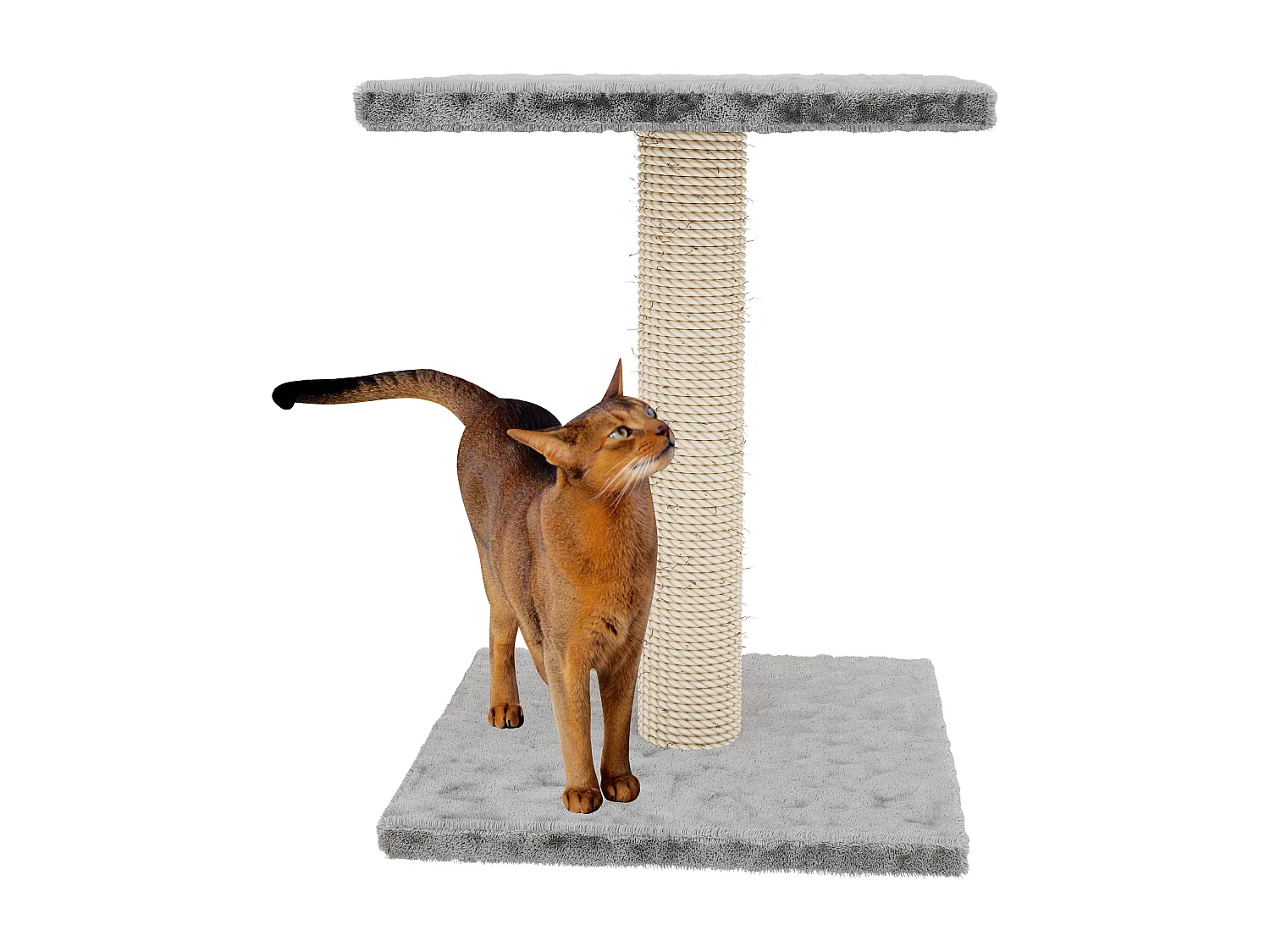 Albero per Gatto con Graffiatoio Cuccia Giocattolo Gatti Parco Giochi Tiragraffi in Sisal Naturale 69 x 40 x 40 cm
