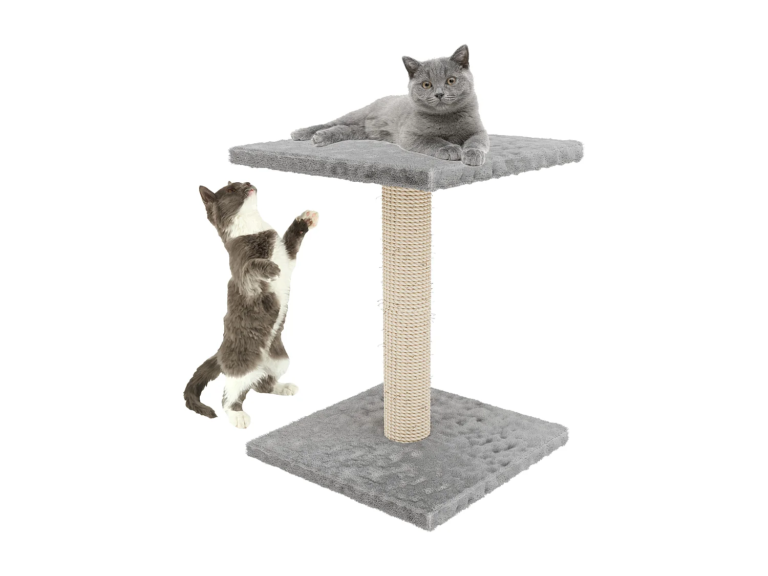 Albero per Gatto con Graffiatoio Cuccia Giocattolo Gatti Parco Giochi Tiragraffi in Sisal Naturale 69 x 40 x 40 cm