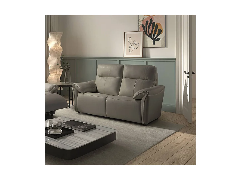 MAZARO - Canapé 2 Places Fixe Cuir Gris éléphant