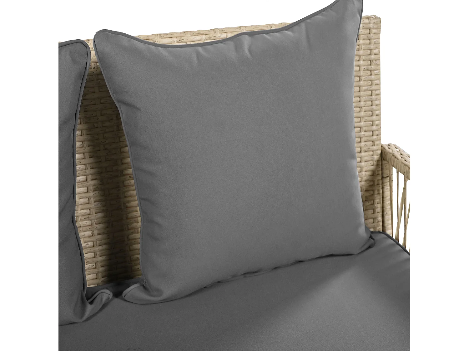 Tuinschommel, beige rotan, 2-zits met zit- en rugkussens, afneembare hoezen voor reiniging