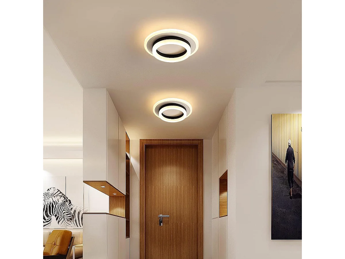 Plafonnier LED Rond, Lustre Design Moderne 20W, Lampes de Plafond en Métal Acrylique 3000K Adapté Pour Salle de Bain, Chambre, Cuisine,Bureau (Noir et Blanc)