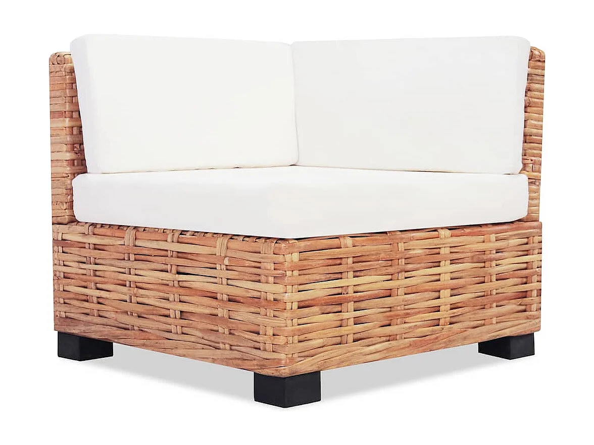 NETTLIFE Ensemble de canapés 27 pcs Rotin naturel