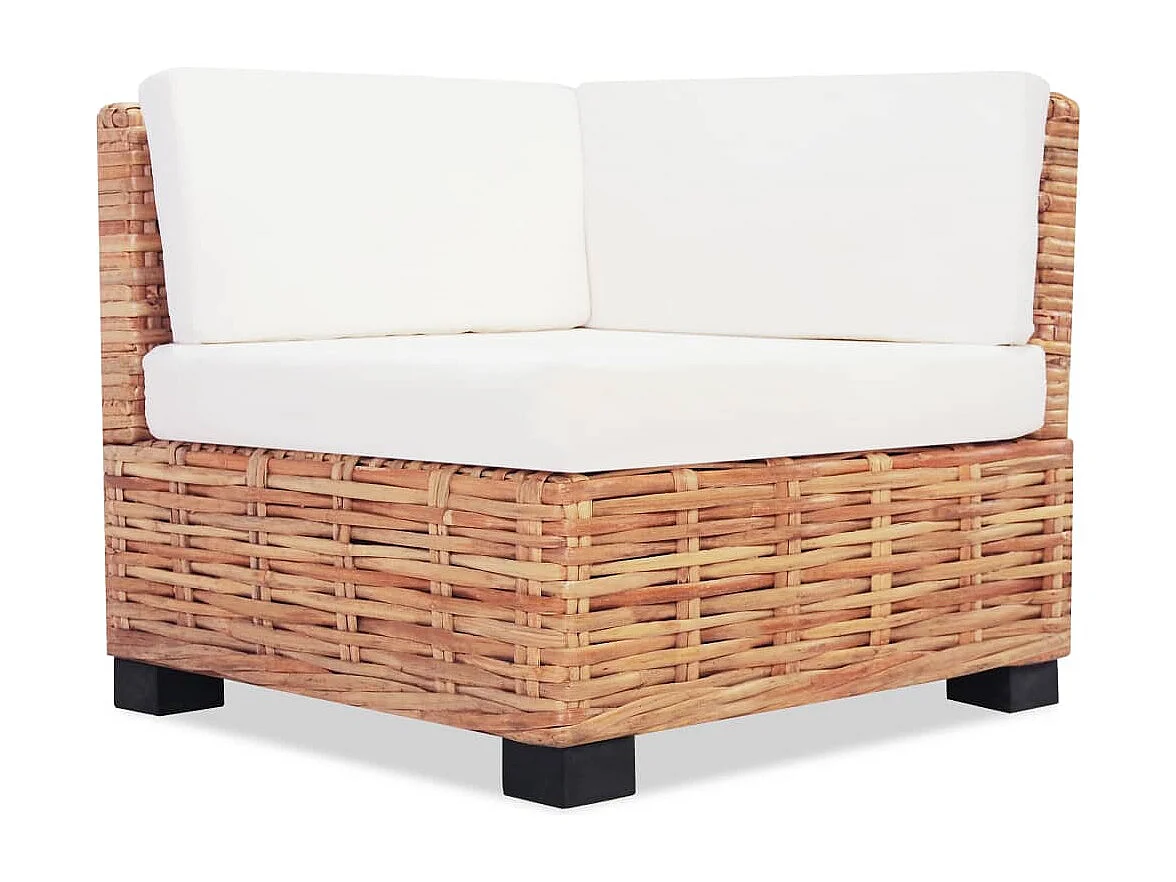 NETTLIFE Ensemble de canapés 18 pcs Rotin naturel