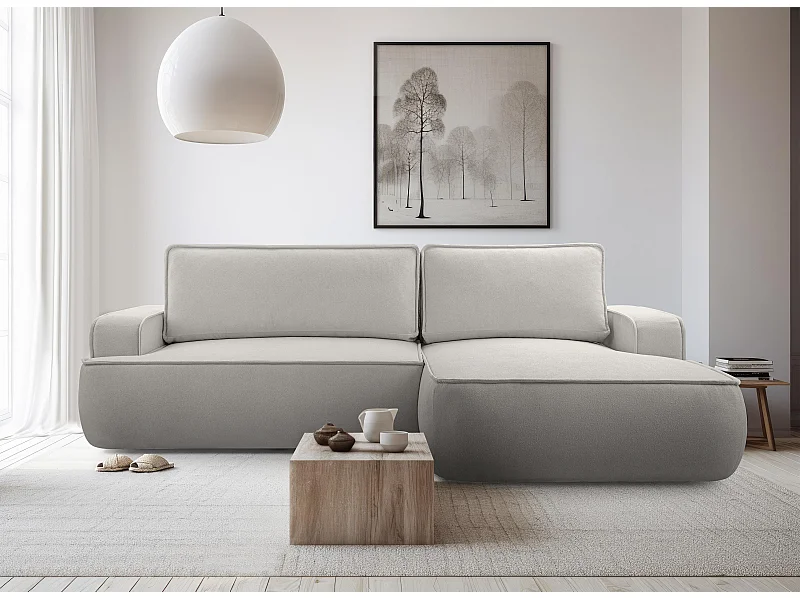 AX LIVING Canapé en L avec fonction lit Ablia 267 cm gris clair D