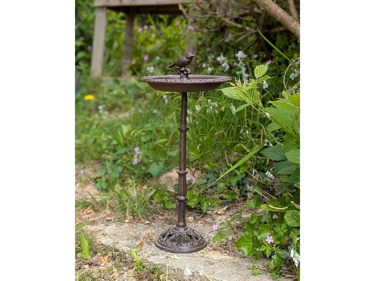 Mangeoir pour oiseaux marron SWALLOW