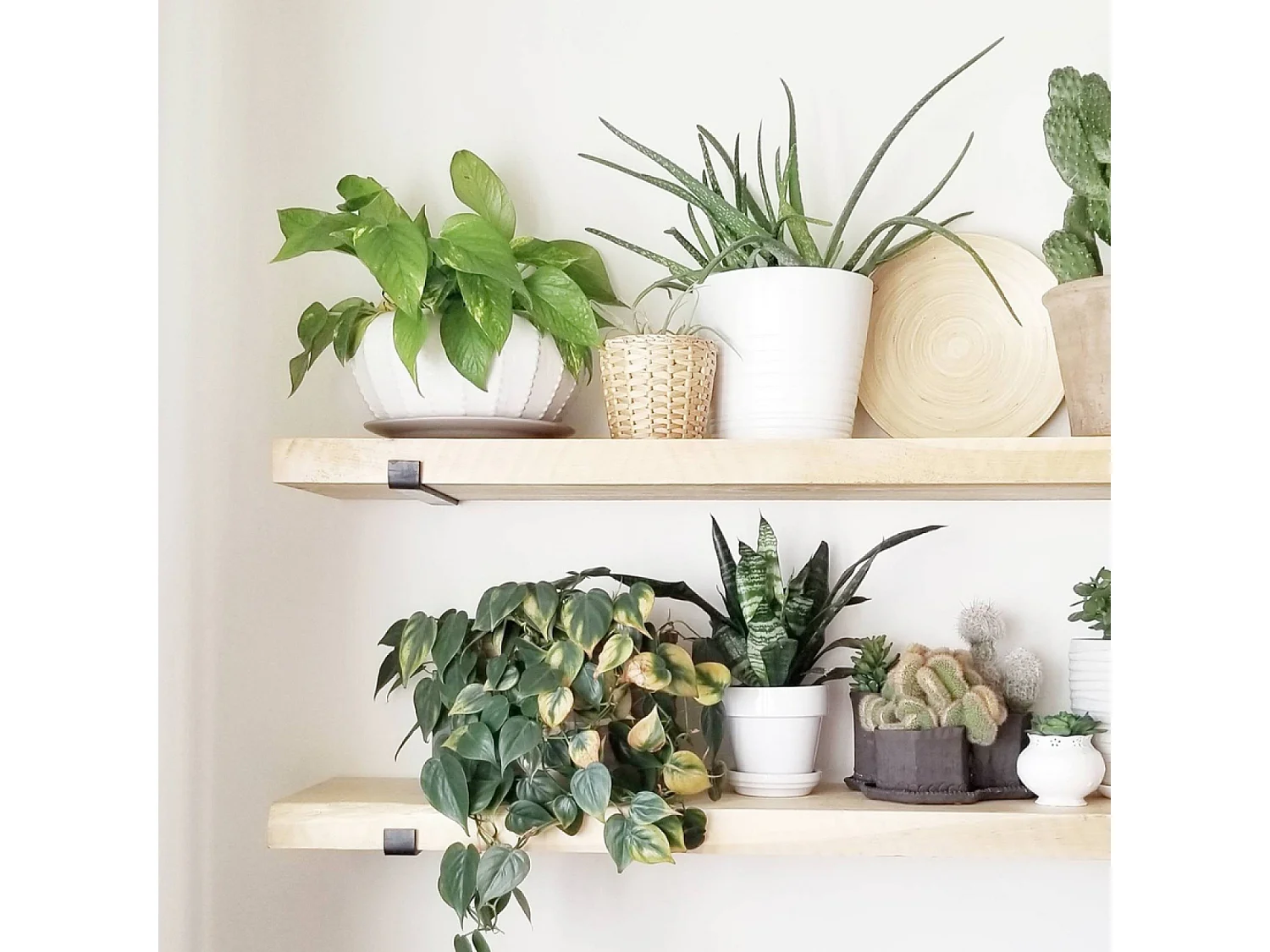 Étagère murale en bois d'épicéa et métal - 2 rangements - bois et noir BUSSA