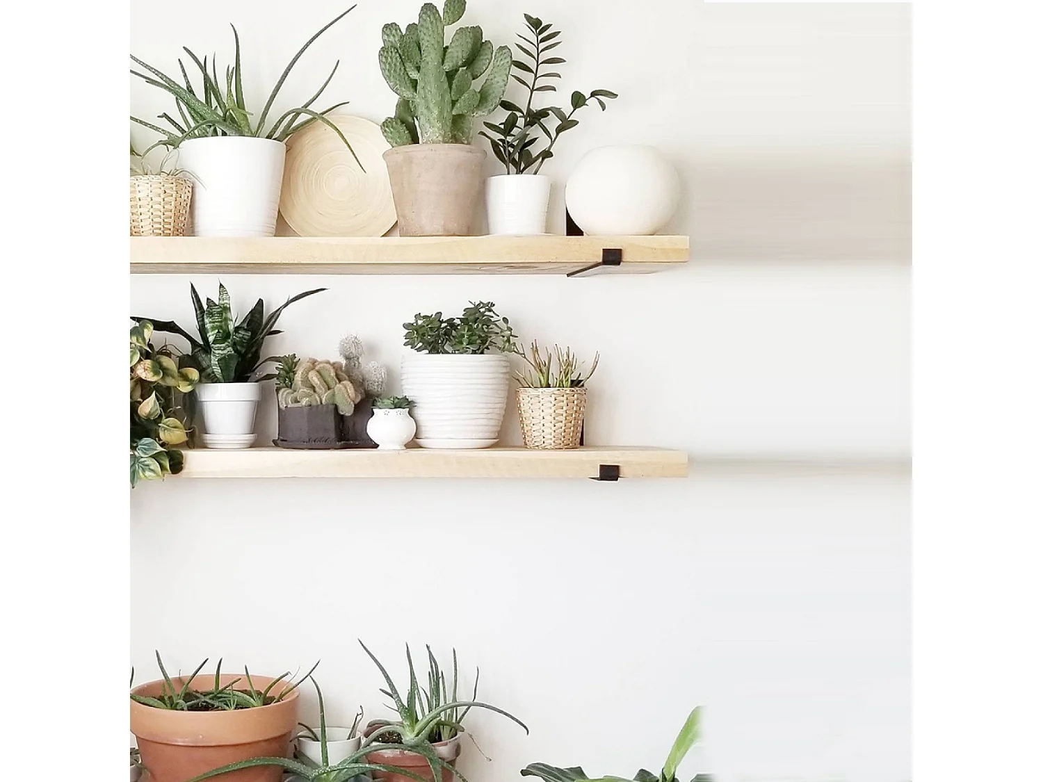 Étagère murale en bois d'épicéa et métal - 2 rangements - bois et noir BUSSA