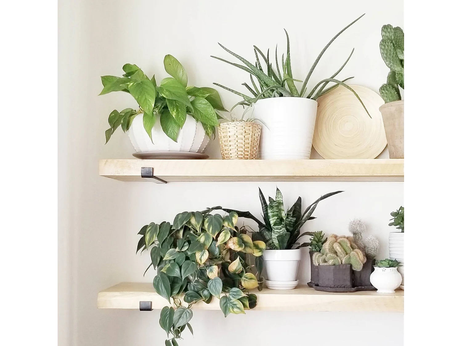 Wandplank van sparrenhout en metaal BUSSA - 2 opbergvakken - hout en zwart