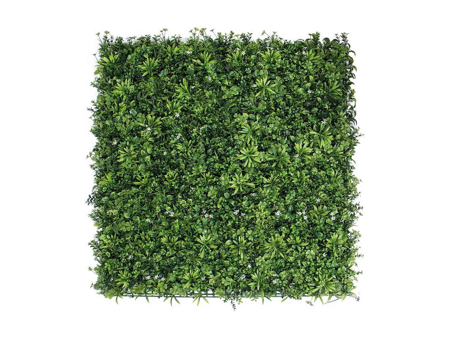 Jardín vertical jazmín expert 1x1 m verde nortene 1X1 M