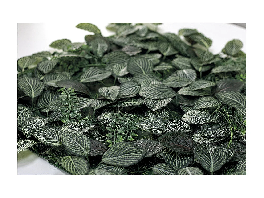 Jardín vertical fresno 50x50 cm verde nortene 50X50 CM