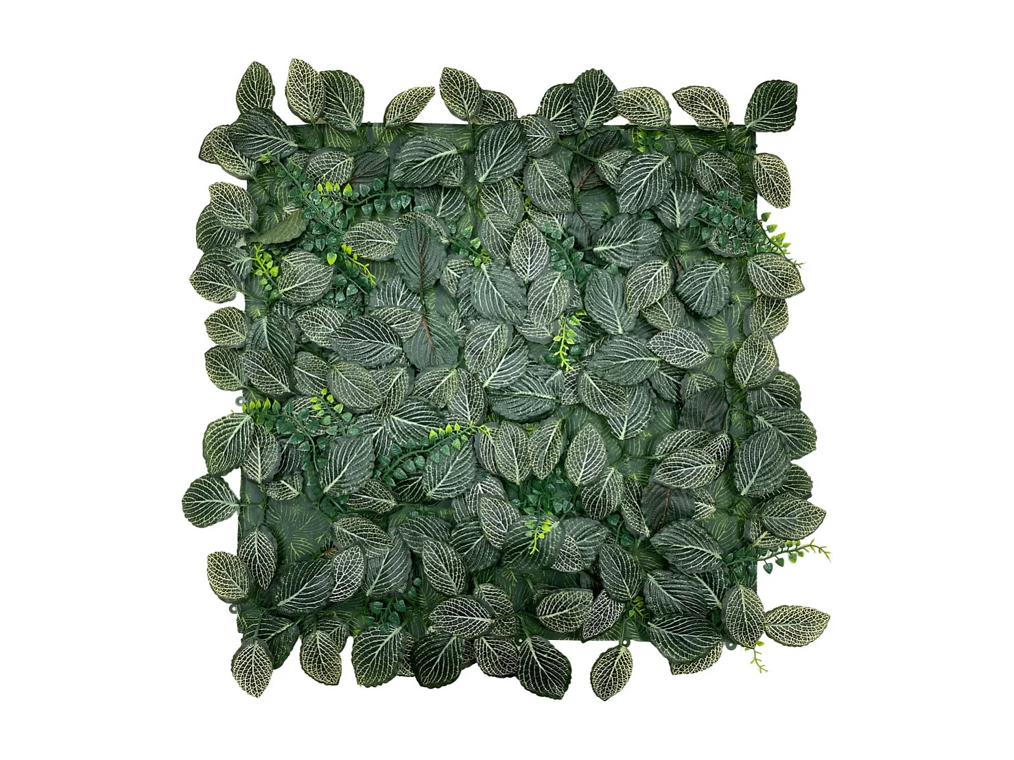 Jardín vertical fresno 50x50 cm verde nortene 50X50 CM