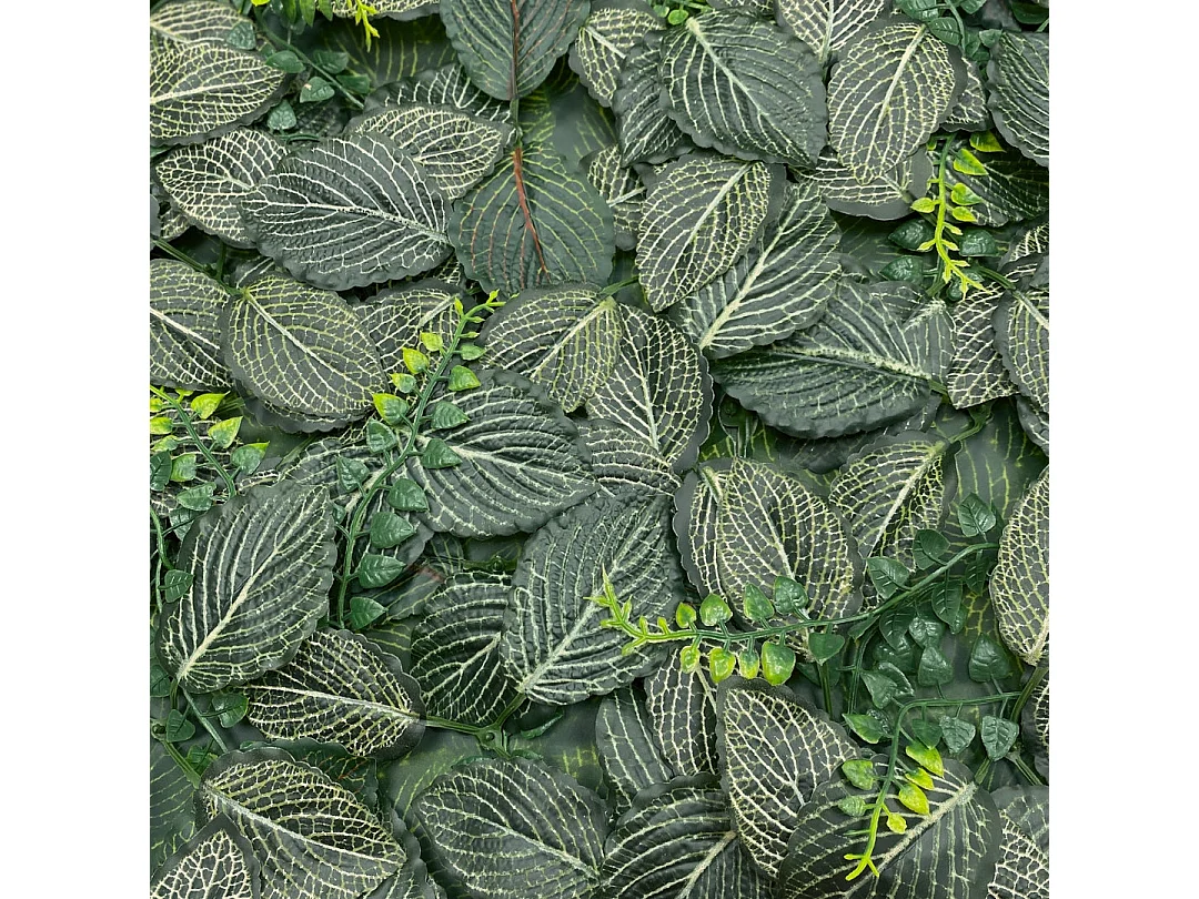 Jardín vertical fresno 50x50 cm verde nortene 50X50 CM