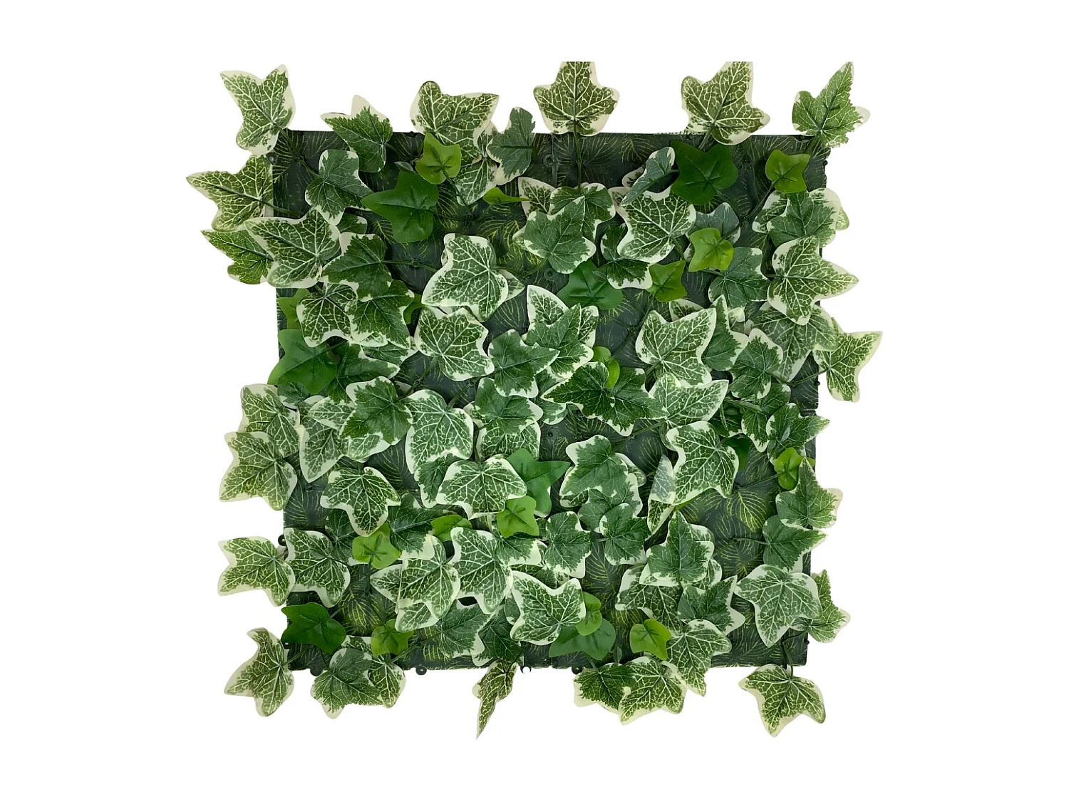 Jardín vertical alameda 50x50 cm verde nortene 50X50 CM