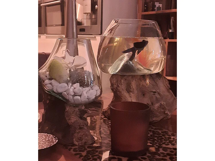 Vase Fishbowl Small - Verre fusionné sur teck - Fait main