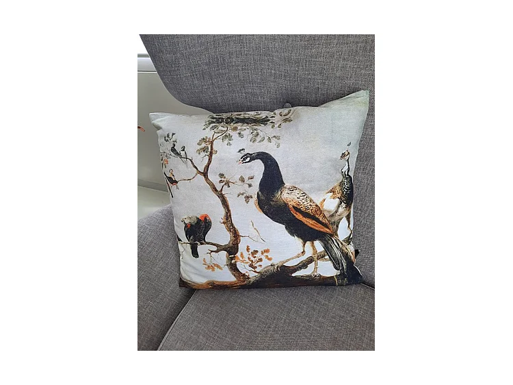 Coussins décoratifs Furnilux - 45x45 cm - Lot de 2 - Beige