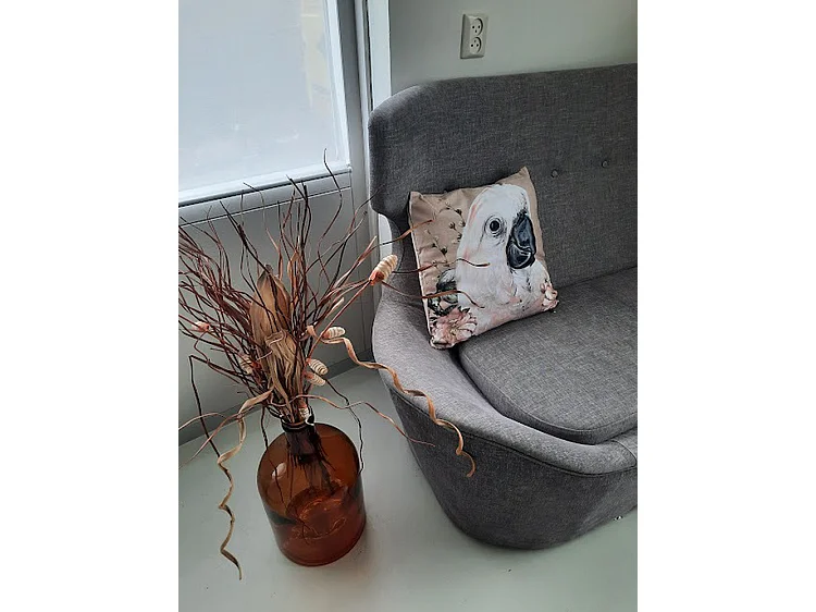 Coussins décoratifs Furnilux - 45x45 cm - Perroquet Sjakie Beige/Blanc/Rose