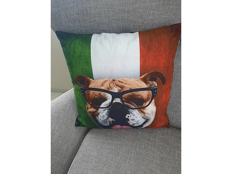 Coussins décoratifs Furnilux - 45x45 cm - Lot de 2 Bull Design Noir Vert Blanc Rouge