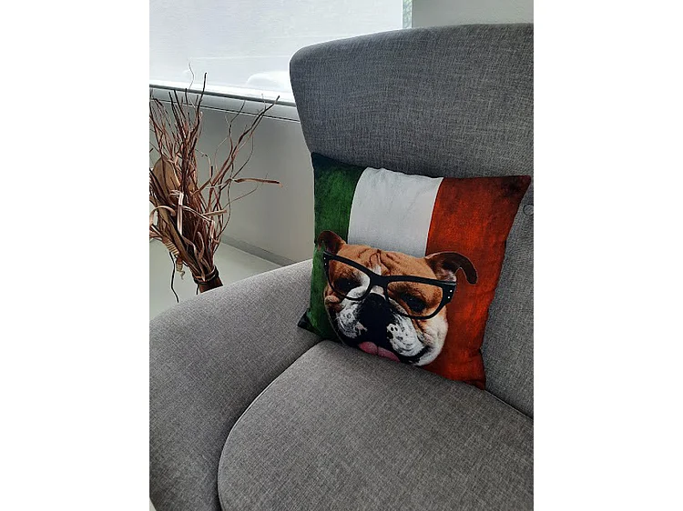 Coussins décoratifs Furnilux - 45x45 cm - Lot de 2 Bull Design Noir Vert Blanc Rouge