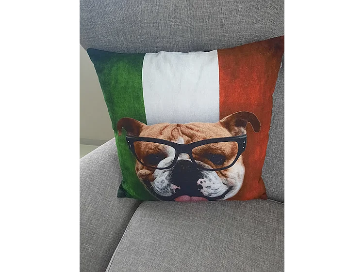 Coussins décoratifs Furnilux - 45x45 cm - Lot de 2 Bull Design Noir Vert Blanc Rouge