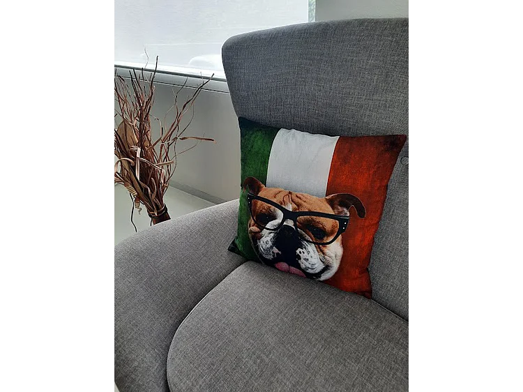 Coussins décoratifs Furnilux - 45x45 cm - Lot de 2 Bull Design Noir Vert Blanc Rouge